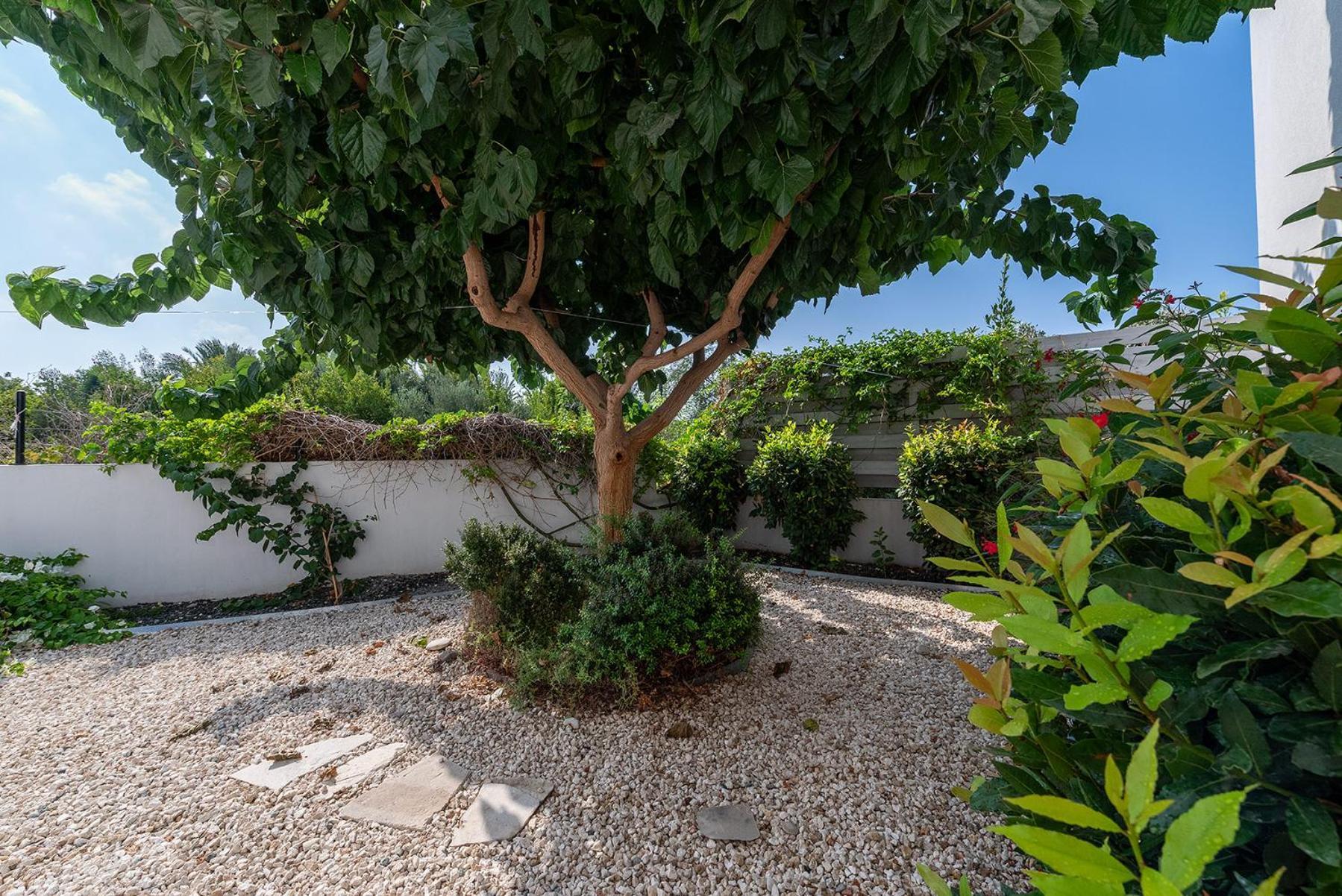 Blue Diamond Beach Villas Paphos Eksteriør billede
